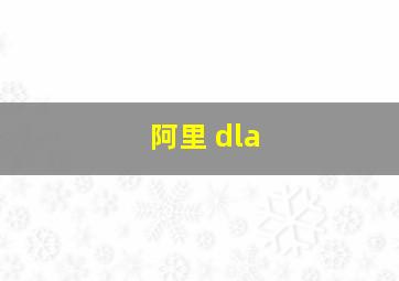 阿里 dla